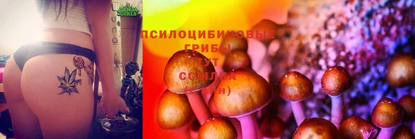 синтетический гашиш Нязепетровск