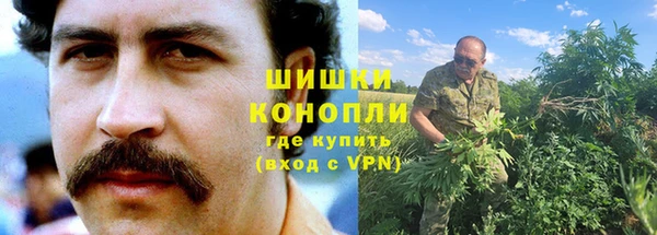 амф Осташков