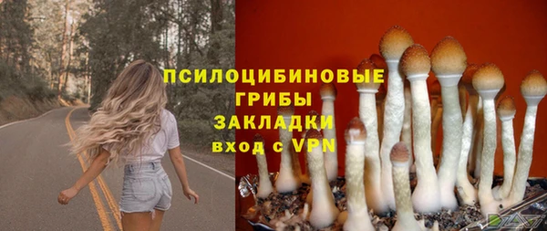 крисы Осинники