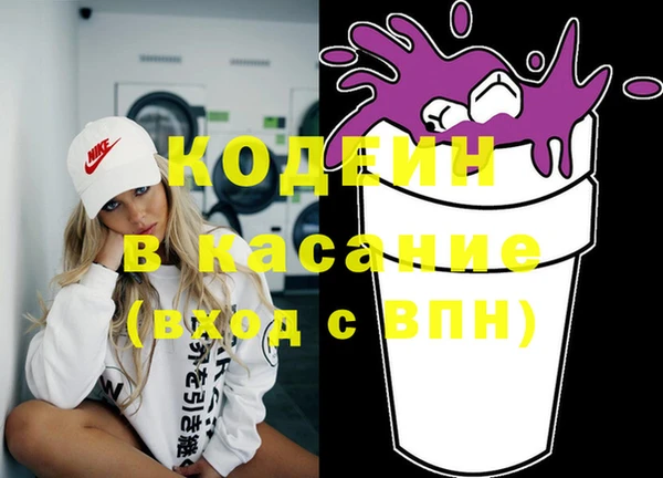 крисы Осинники