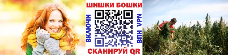как найти   Зеленоградск  Канабис гибрид 